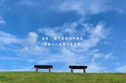 开云体育官网-红白战袍下的黑马，阿方索·戴维斯如何用一脚控球，撕裂2026世界杯B组的沉默