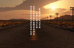 开云体育app-2026世界杯D组焦点战，葡萄牙控场压制荷兰，贝林厄姆中场核心引领胜利之路
