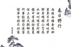 开云sport-2026世界杯H组生死战，B费驱动攻守转换，美国伊朗对决中的战术唯一性