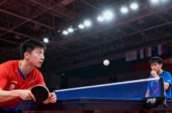 开云体育登录-奥地利乒乓球队鏖战韩国乒乓球队，马龙关键制胜的简单介绍