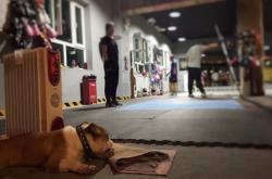 开云体育登录-拳击选手赛后落泪，背后故事感人