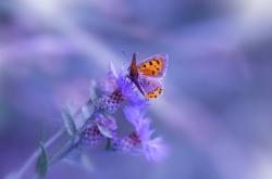 开云体育官网-心脏，在巴黎最后八分钟绽放，内马尔创造奇迹之夜