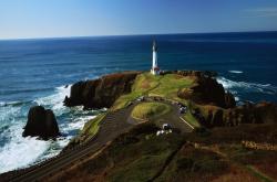 开云体育官网-步行者狂胜魔术的启示，杜兰特在2026世界杯接管比赛之路