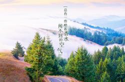 开云体育入口-魔都奇迹，当班凯罗登陆上海滩，一场跨洋绝杀如何改写篮球叙事