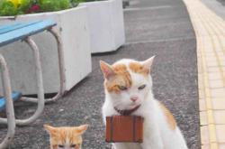 开云体育在线-跨界争冠，英超焦点战与山西队轻取掘金的体育哲学