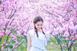 开云sport-火焰与冰霜的碰撞，塞维利亚奇兵阿克一击定乾坤