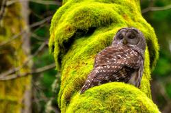 开云体育-破局者，若日尼奥如何从罪人蜕变为关键先生