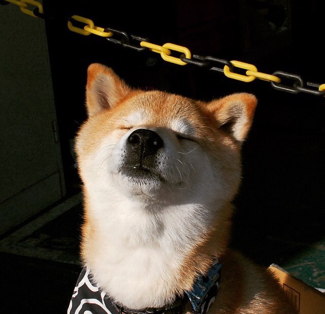 当东方闪电遭遇西部狂沙,马克西用节拍器魔法终结悬念