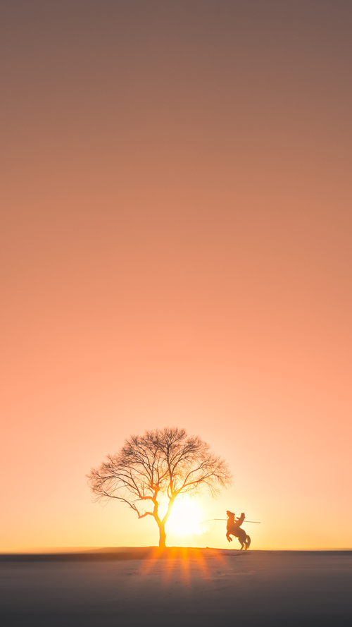 冰雪淬火,吉林东北虎奥运前夜硬撼篮网,小城韧性能否点燃国际赛场?