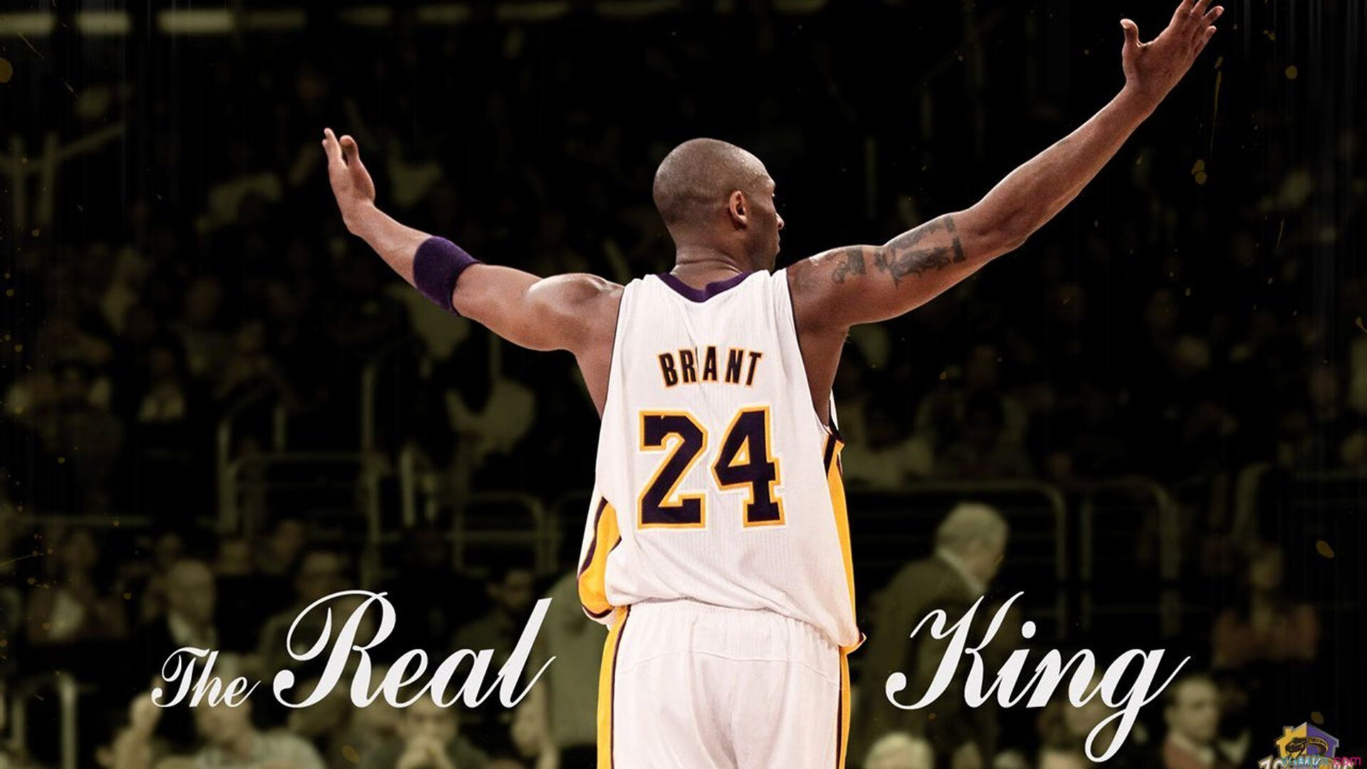 冰与火的淬炼，绝境中，恩佐那颗不软的心脏如何改写历史