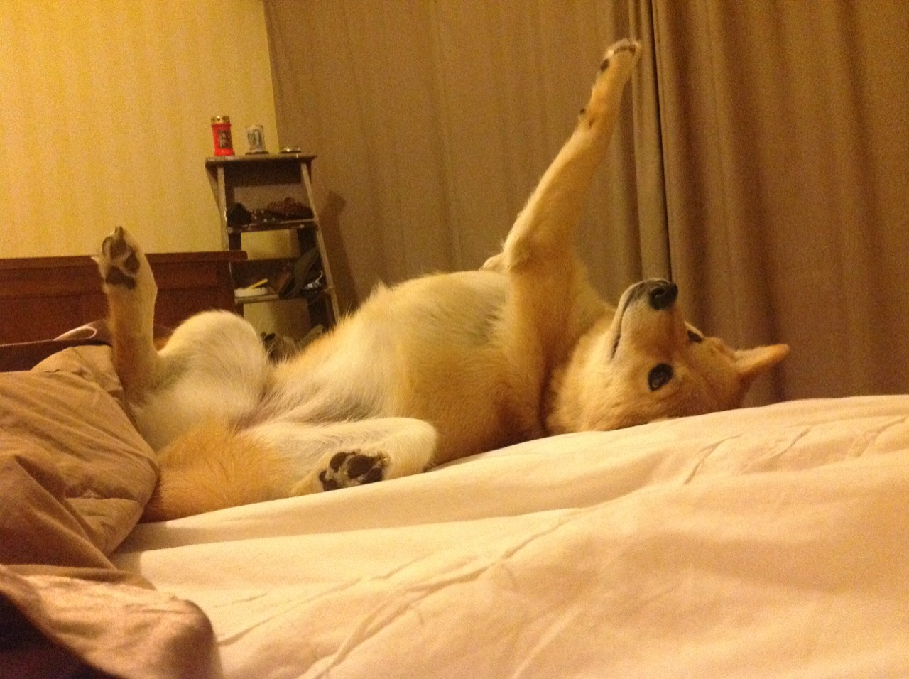 山西,或者洛杉矶,一个球馆地板上涌动的两种时空