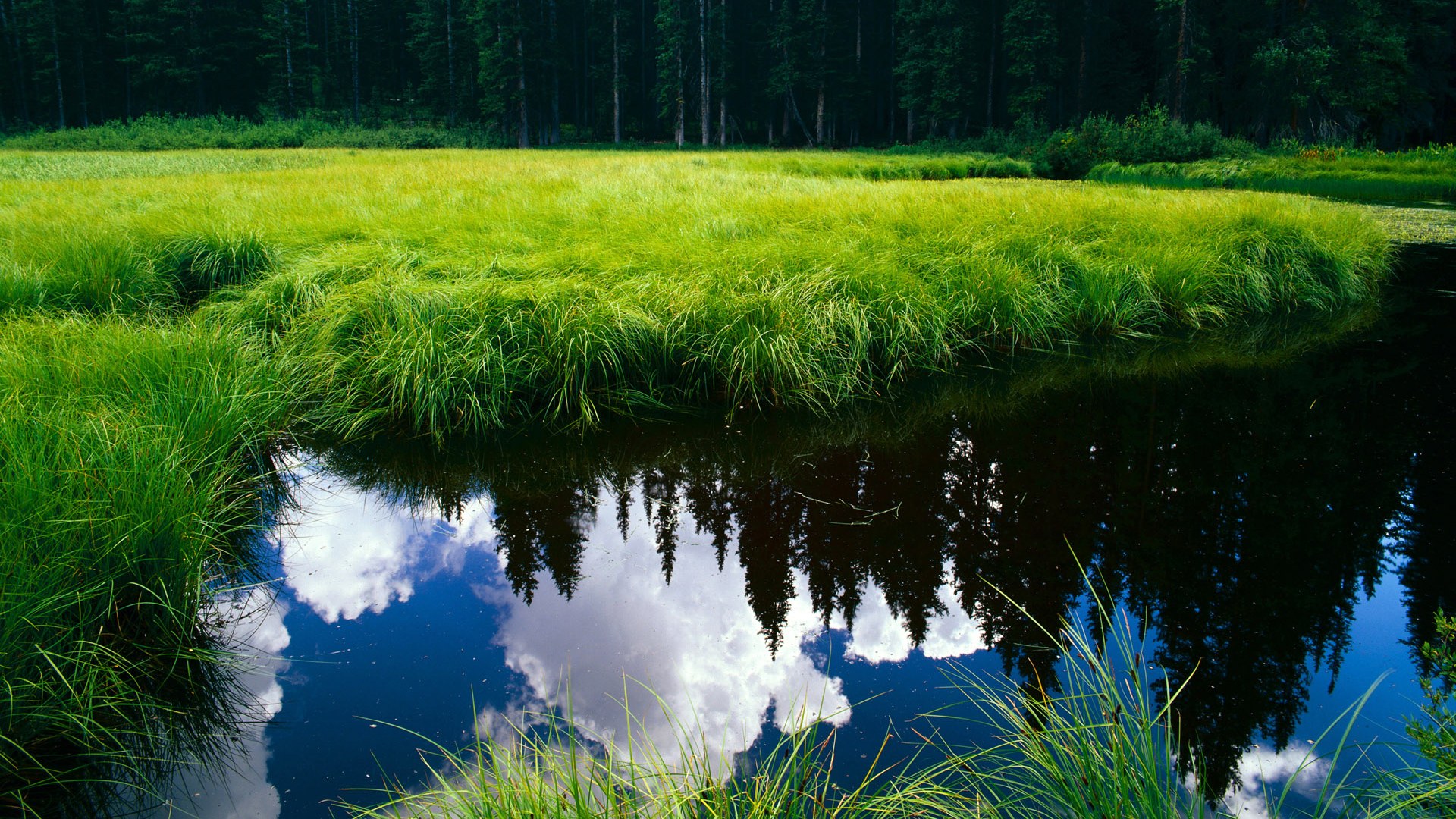 塞维利亚，那块试碎光环的石头，与巴雷拉无冕的百场鎏金