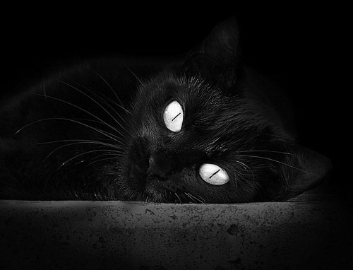 跨界绝平！皮克门神附体，希腊涉险淘汰中国队