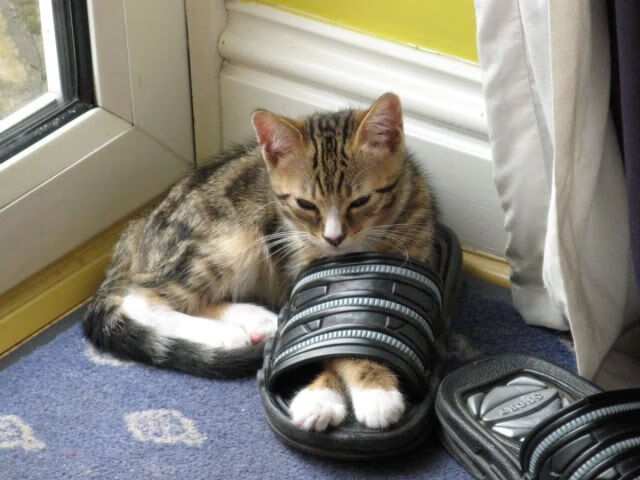 唯一的绝杀者，史诗逆转与半人半神—最后2秒广厦抢七屠马刺记