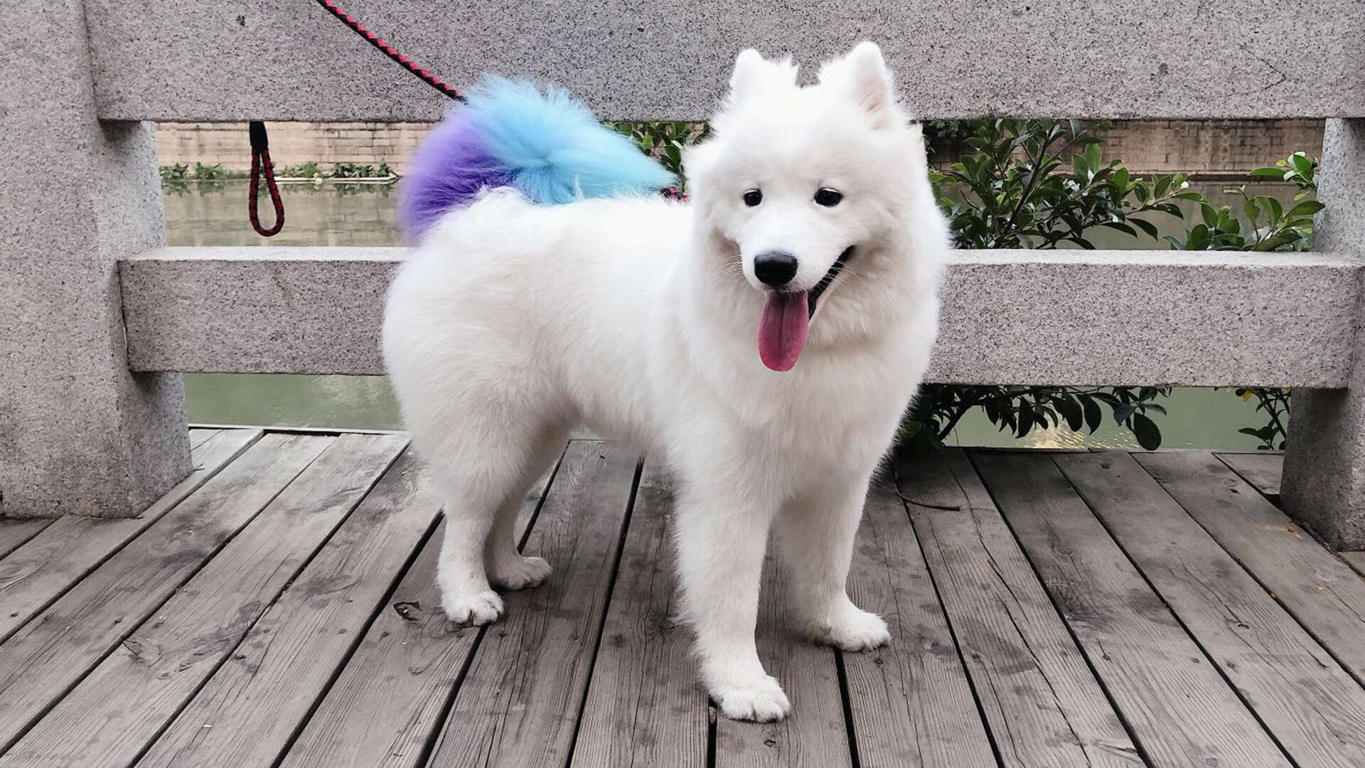 奥利维耶导演德比胜利!凌空斩+助攻,塞维利亚轻取贝蒂斯