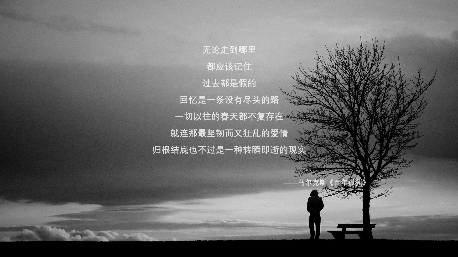 冷门史诗与巨星舞台,体育世界的双面交响