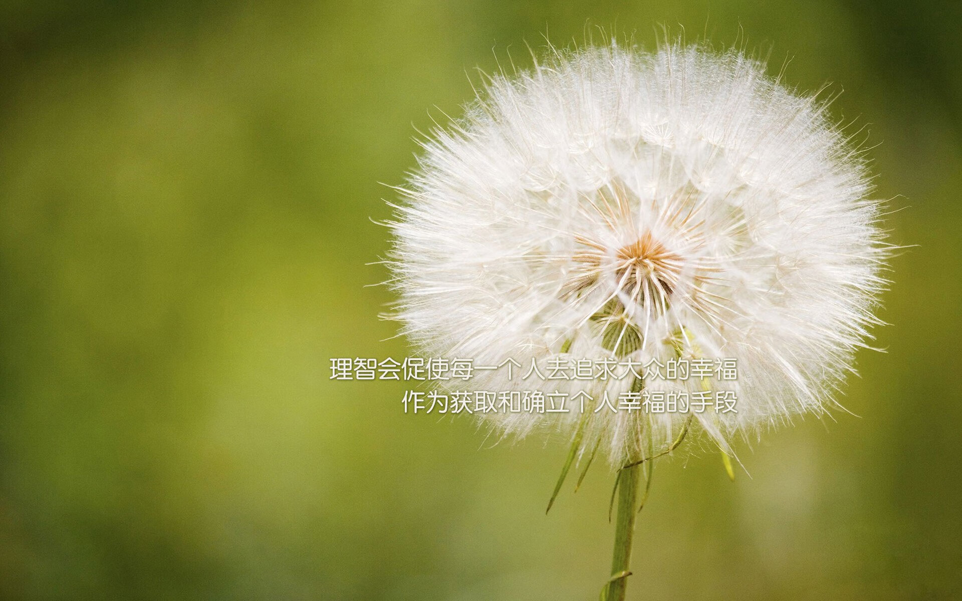 天命独行，2026世界杯，罗德里戈一剑封喉，哥伦比亚绝杀英格兰的永恒瞬间