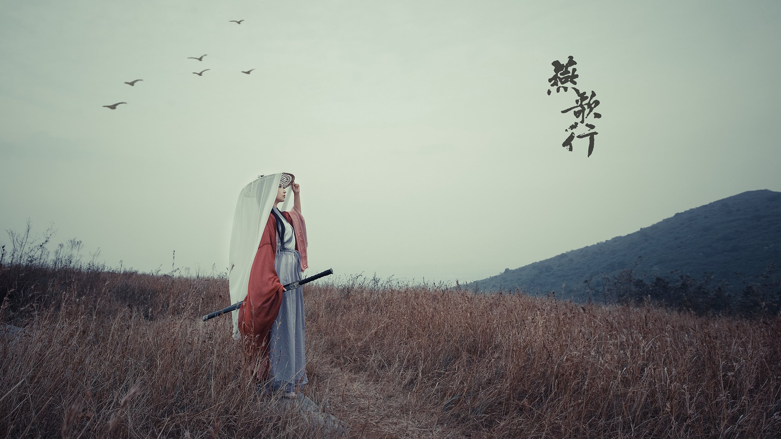 孤星与冷月，2026世界杯F组，比利时完胜冰岛，贝林厄姆一人改写比赛规则