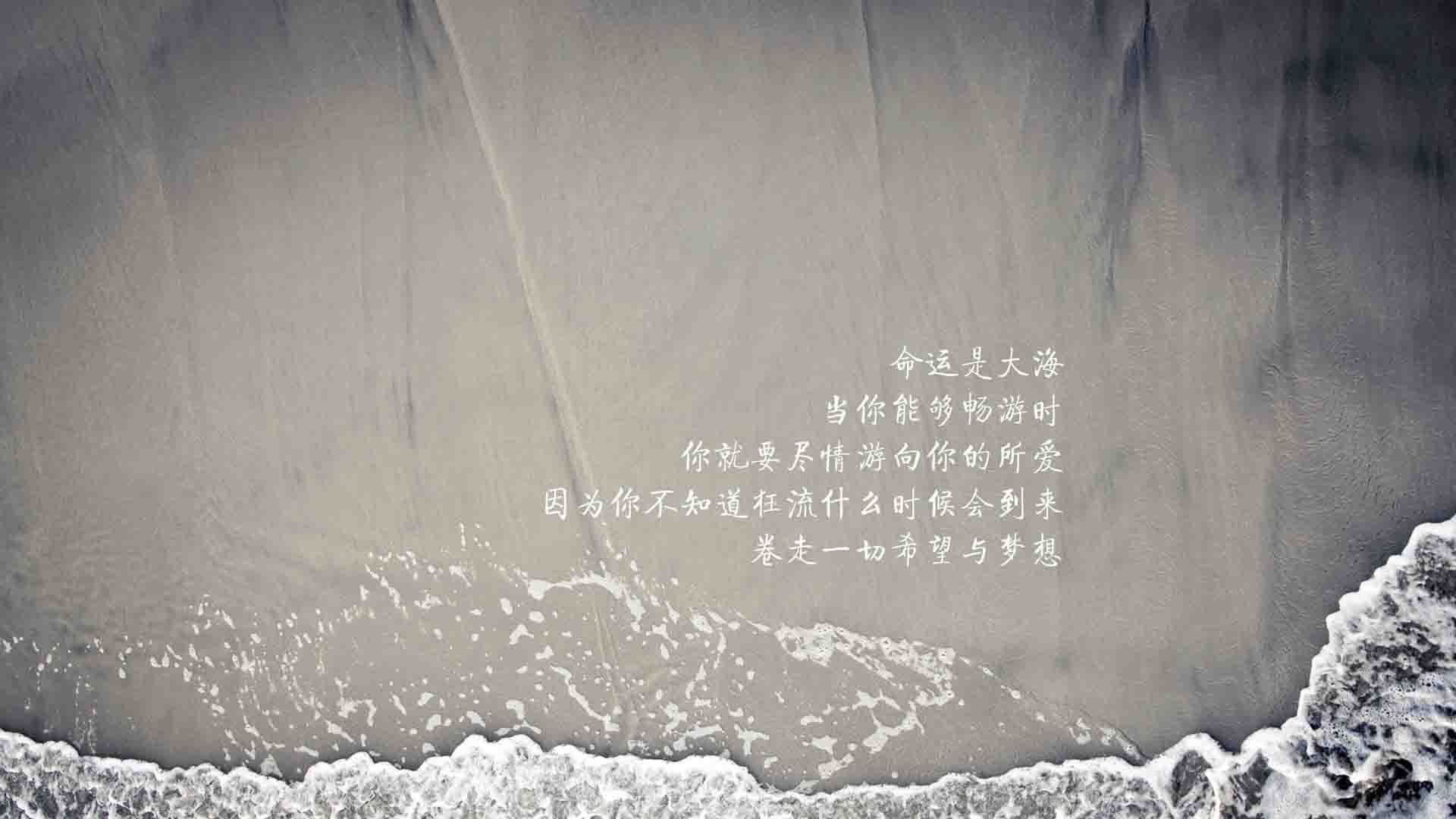 唯一的光，坎塞洛的独舞，德国在2026世界杯C组关键战中碾碎喀麦隆