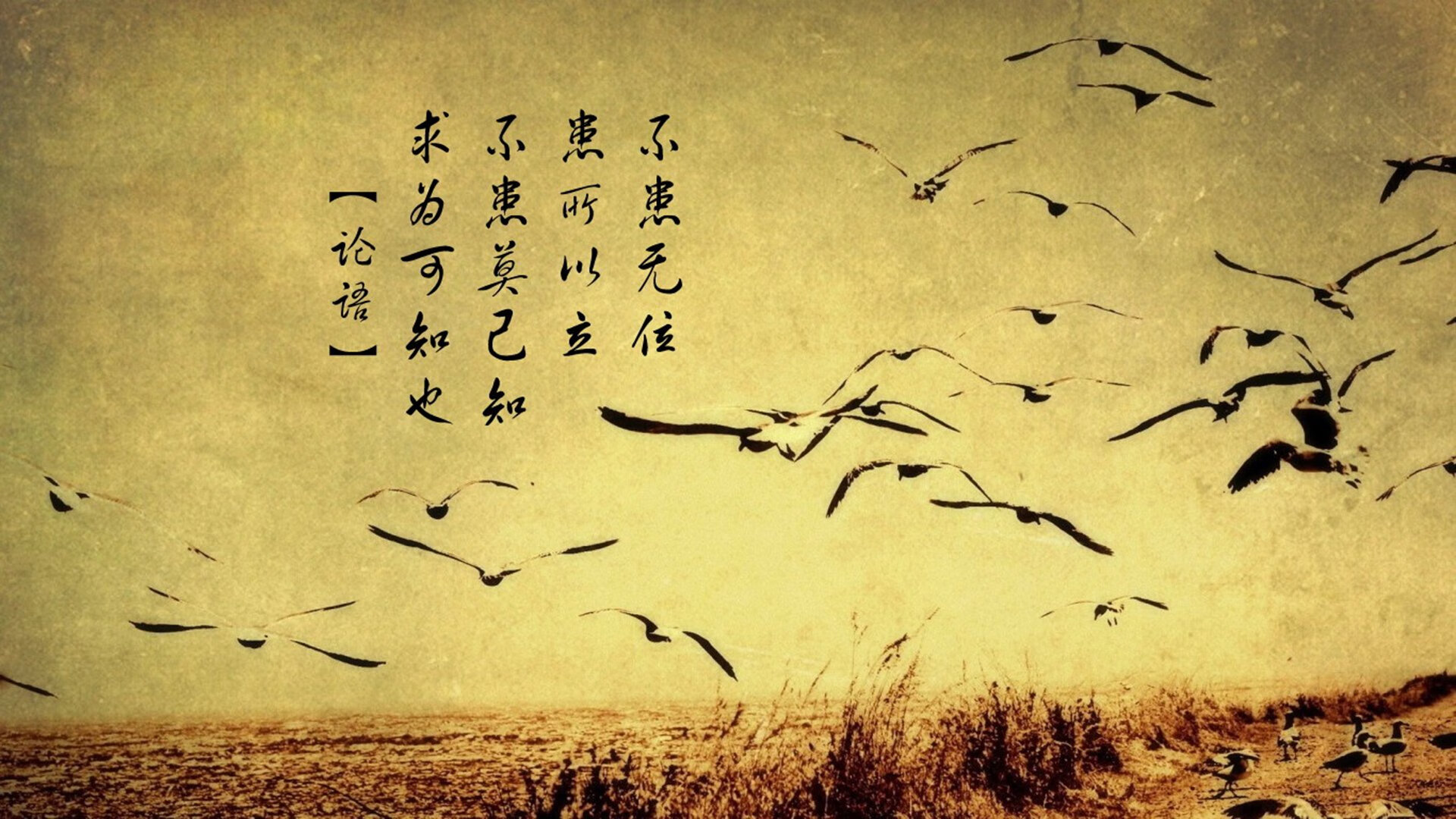 十人血战，魔笛刺穿黑星—2026世预赛终极夜，加纳的黄金梦碎于一个38岁老将的绝杀